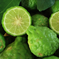 Kaffir Lime